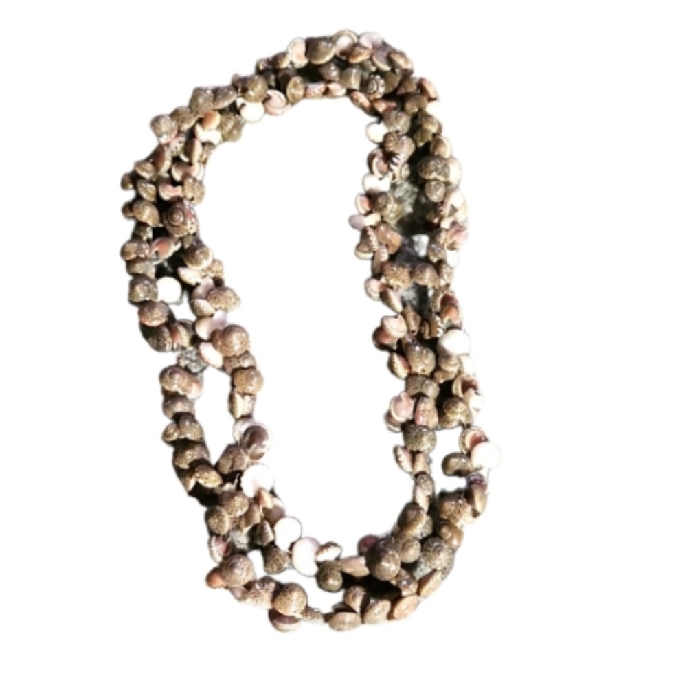Long sea shell beach necklace